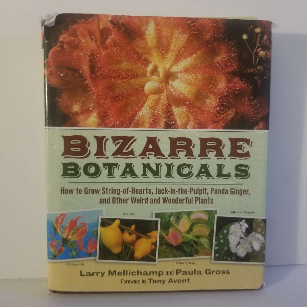 Bizarre botanicals by Larry Mellichamp